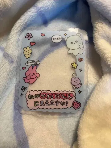 최고심 트레이딩 경질 카드 케이스