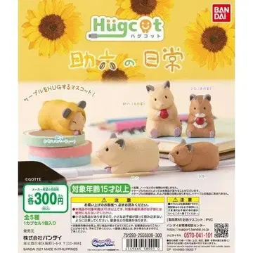 하그코트 스케로쿠의 일상 전 5종 컴플리트 세트