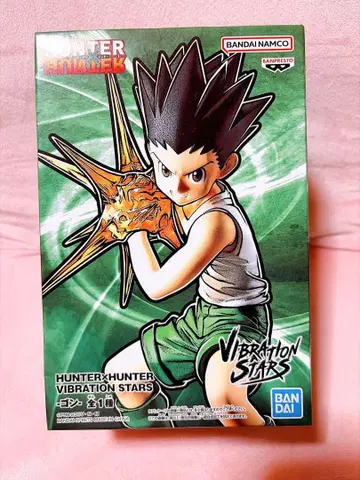 HUNTER x HUNTER 곤 피규어