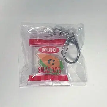 BOYNEXTDOOR 시즌 그리팅 2026 키링 이한