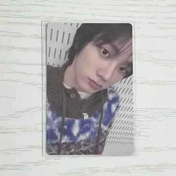 BOYNEXTDOOR 성호 트레이딩 카드 오늘만