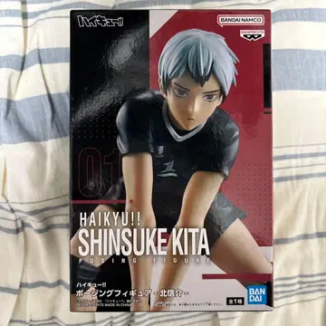 하이큐!! 포징 피규어 키타 신스케