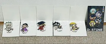 DAISO Dr.STONE 아크릴 스탠드 5개 세트 덤 시크릿