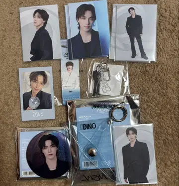 SEVENTEEN 세븐틴 NEW 디노