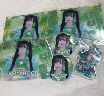 iLiFE! 와카바노아 클리어 카드 아크릴 키링 아크릴 키홀더 캔 배지