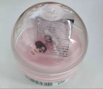 나니와단시 미치에다 슌스케 VoyAGE 돔 메지루시 참