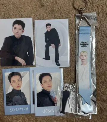 SEVENTEEN 세부치 NEW 조슈아