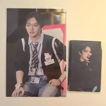 straykids 토이 월드 타워 레코드 특전 엽서 리노