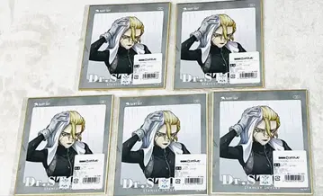 [ Dr.STONE ] DMM 스크래치 복권 레이니 데이 스탠리 스나이더