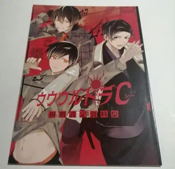 울트라 C 초기 설정 자료집