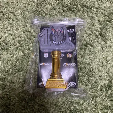 10th WEST AWARD 응원봉