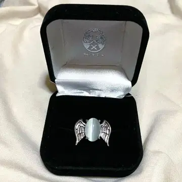 가정교사 히트맨 REBORN! 육도화 마레링 깃털 닫힘 버전 백란