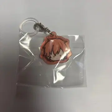 프로세카 캡슐 메지루시 참 vol.1 아키토