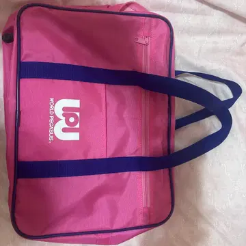 월드 페가수스 스쿨백 핑크 구형