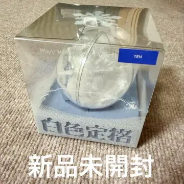 텐 TEN 오너먼트 WayV 화이트 컬러 EternalWhite 미개봉