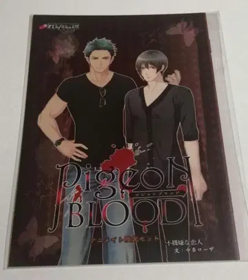 PigeonBLOOD 애니메이트 특전 소책자 불쾌한 연인