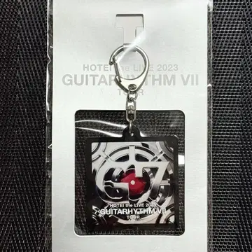 호테이 토모야스 GUITARHYTHM VII 아크릴 키링 회장 한정판