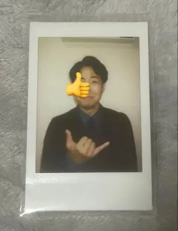 금붕어 반장 미노와 폴라로이드