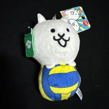 냥코 대전쟁 지역 마스코트 동아리 활동 [배구] 스포츠