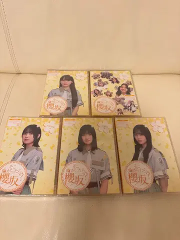 거기 가면 사쿠라자카?