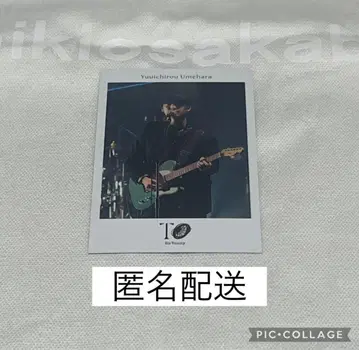 Sir Vanity 폴라로이드풍 카드 우메하라 유이치로