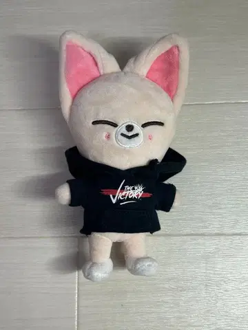 공식 상품 StrayKids SKZOO 아이엔 IN 폭시니 미니 인형