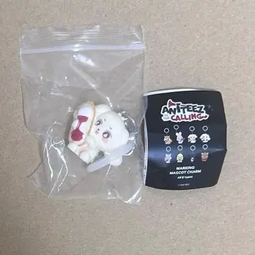 ATEEZ ANITEEZ 요상 헤몬이 메지루시 액세서리 참