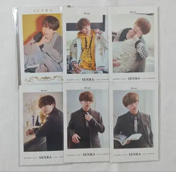 센라 폴라로이드풍 카드 랜덤 미니 포토 카드 6종 세트