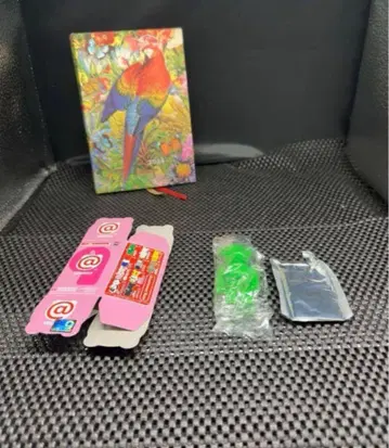 베어브릭 시리즈 9 베이직 R 익명 배송 네코포스