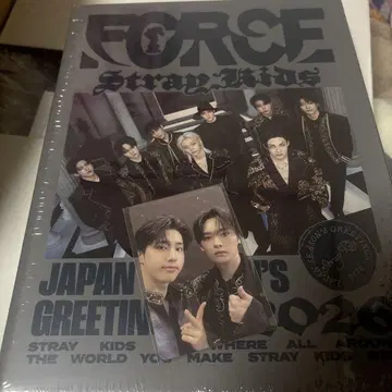Stray Kids FORCE 시즌 그리팅 리노 한 특전