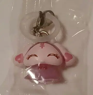 빛의 전사 프리큐어 메지루시 액세서리 미플