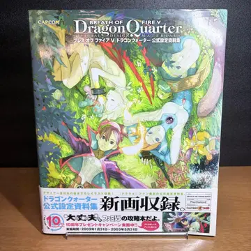 블레스 오브 파이어 5 드래곤 쿼터 공식 설정 자료집