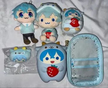 스토푸리 코론군 묶음 판매