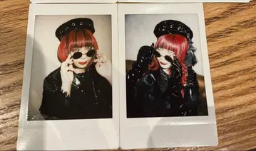 Royz 공대 씨 폴라로이드