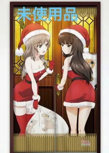 걸즈 앤 판처 니시즈미 시호 시마다 치요 마마 산타 노렌