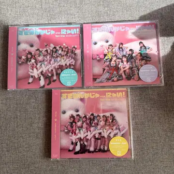 fav me 파보미 스키난카쟈나이 CD