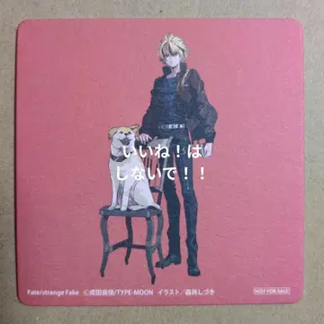 라이트 노벨전 카페 Fate 페이트 코스터