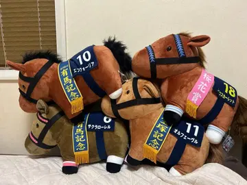 서러브레드 컬렉션 BIG