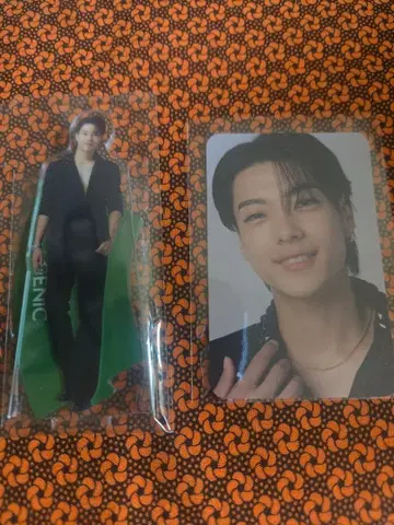 GENIC 니시자와 테이 아크릴 스탠드 트레이딩 카드 CIRCLE