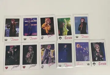 테루토 군 포토 카드 11장