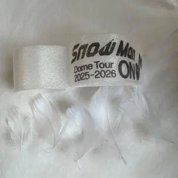 Snow Man Dome Tour 2025-2026 음표 깃털 세트