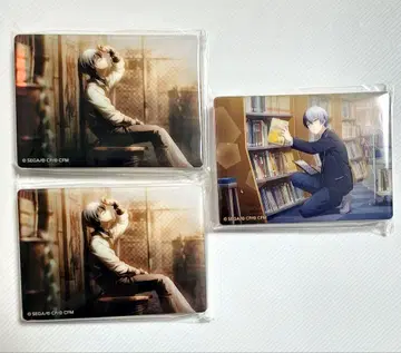 프로세카 아오야기 토야 노블 아트 vol.57 vol.58