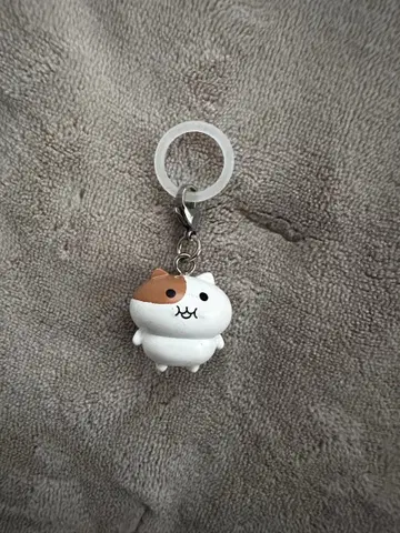 모치냐미 메지루시 참