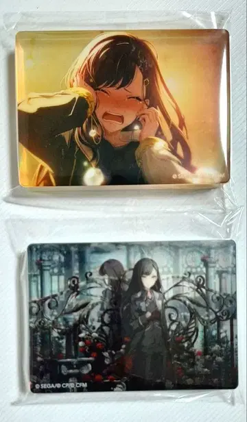 프로세카 시로이시 안 앙상블 아트 vol.65 vol.66