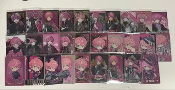 테루토 군 트레이딩 카드 29장