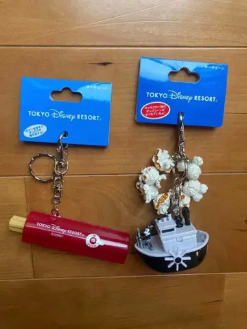 도쿄 디즈니 리조트 팝콘 키링 감자 키링 봉투 포함