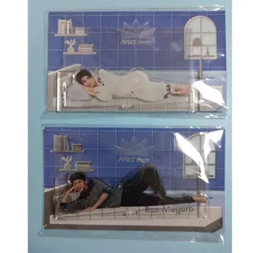 Snow Man 라울 메구로 렌 RAYS 아크릴 스탠드