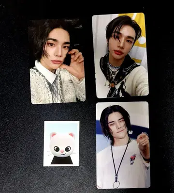 straykids 팬미팅 토이와 봉입&HMV 트레이딩 카드 현진