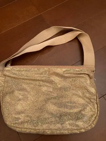 루이존 골드 글리터 숄더백