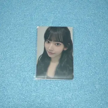 르세라핌 스파게티 에버라인 예약 사쿠라